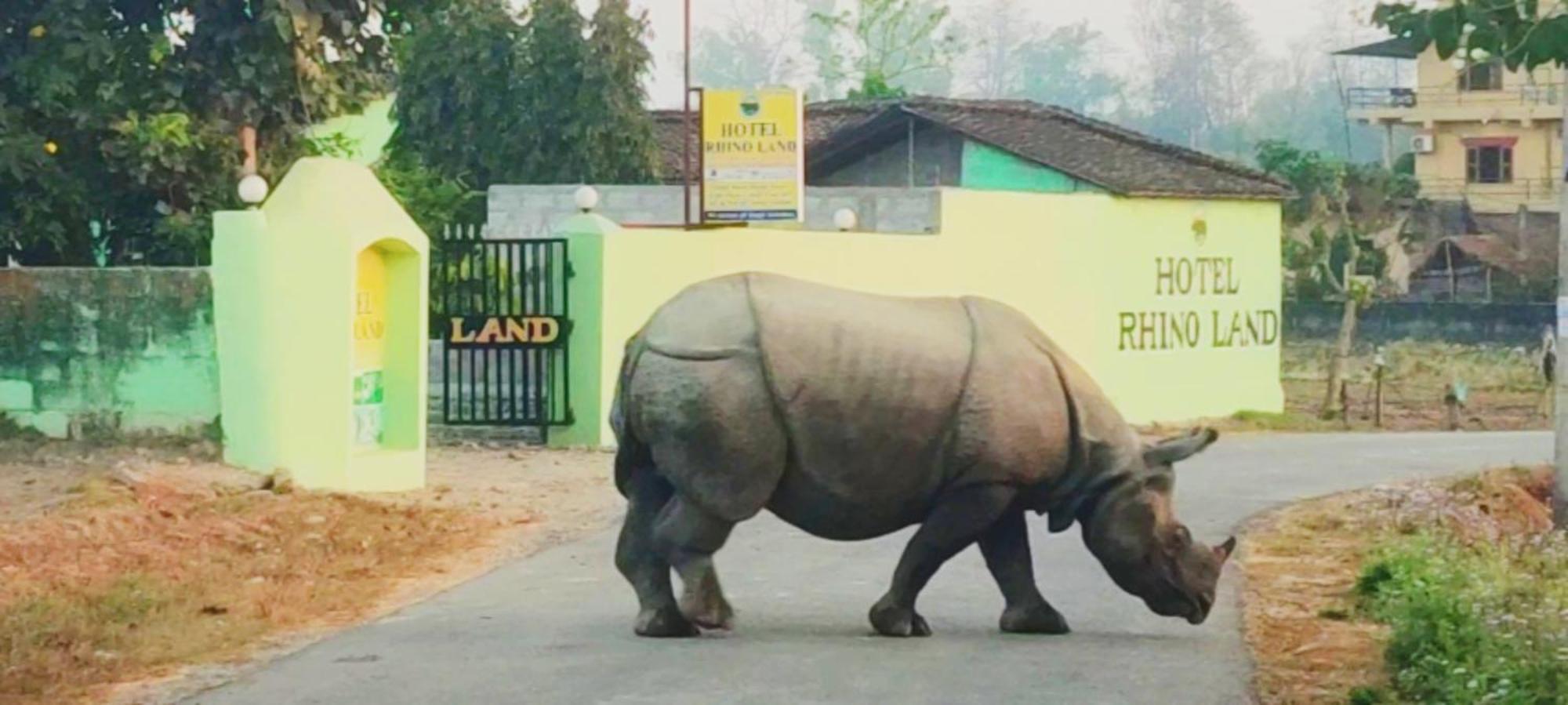 Hotel Rhino Land, Sauraha Εξωτερικό φωτογραφία